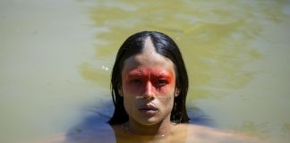 Review: ‘Green Frontier’, mystery in the Amazon