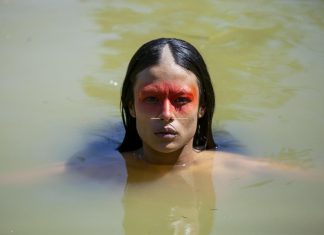 Review: ‘Green Frontier’, mystery in the Amazon