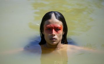 Review: ‘Green Frontier’, mystery in the Amazon