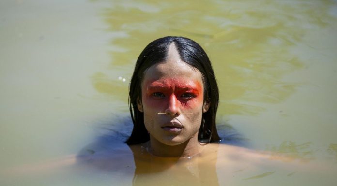 Review: ‘Green Frontier’, mystery in the Amazon