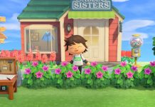 Shrubs in Animal Crossing New Horizons: how to get them, in which months they grow and everything you need to know