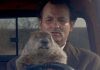 5 curiosities of Groundhog Day, the science fiction comedy that enchanted everyone in a loop