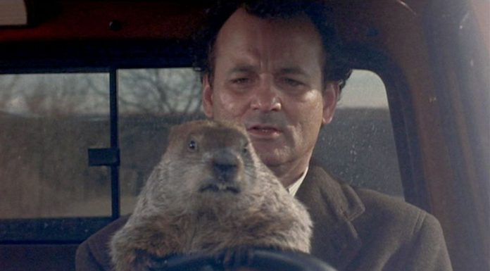 5 curiosities of Groundhog Day, the science fiction comedy that enchanted everyone in a loop