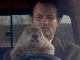 5 curiosities of Groundhog Day, the science fiction comedy that enchanted everyone in a loop