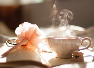 5 novels to read at home over a cup of tea