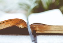 Accessible literature: formats that allow reading beyond the sense of sight