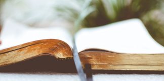 Accessible literature: formats that allow reading beyond the sense of sight