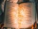 Christmas, 15 classic books to read to experience the atmosphere
