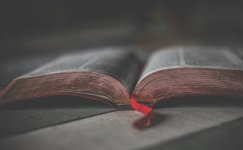 Halloween, 5 classics to read on the scariest night of the year