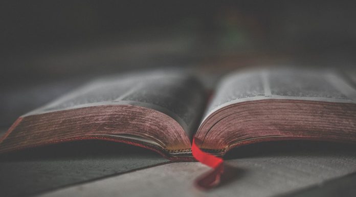 Halloween, 5 classics to read on the scariest night of the year