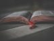 Halloween, 5 classics to read on the scariest night of the year