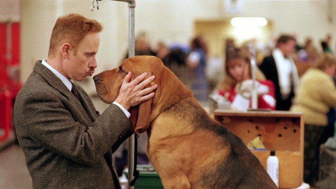 Still from the film Very Important Dogs