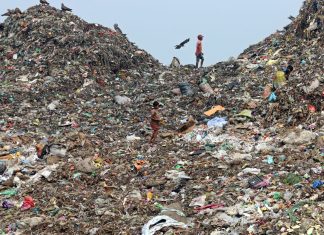 Books to save the planet
