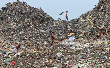 Books to save the planet